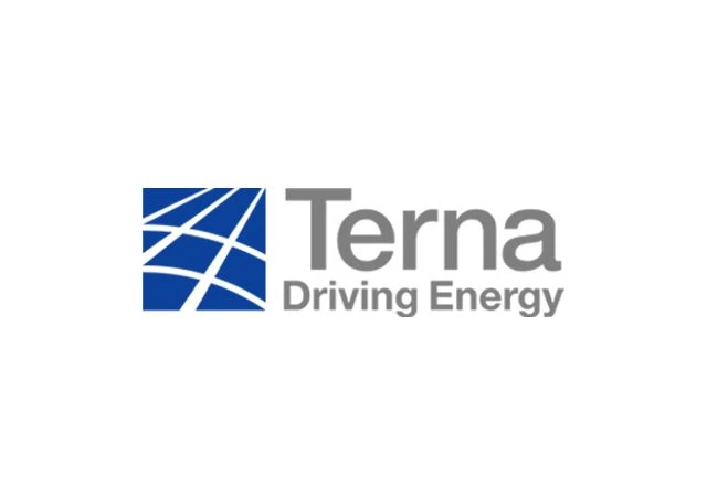 partner logo Terna Driving Energy
